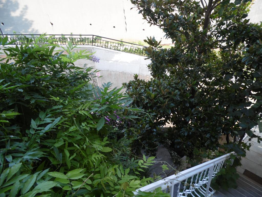 Apartments Slavica Jovanovic Sveti Stefan Værelse billede